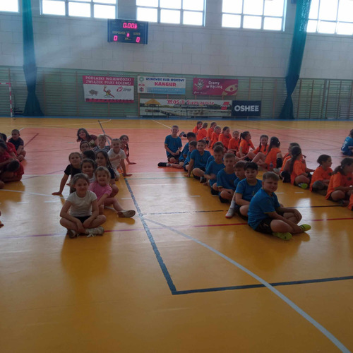 Podlaska Liga Mini Piłki Ręcznej