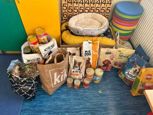 „Moje wszystkie kundle” – podsumowanie akcji z okazji Dnia Kundelka